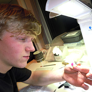 Diamond Grading